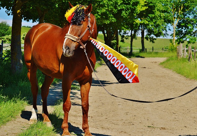 绝非仅关乎 绝非仅关乎