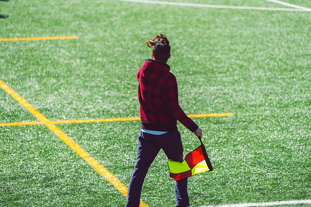 友情敵對 友情敵對