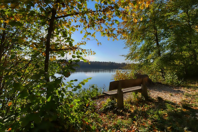 普这样的知 普这样的知