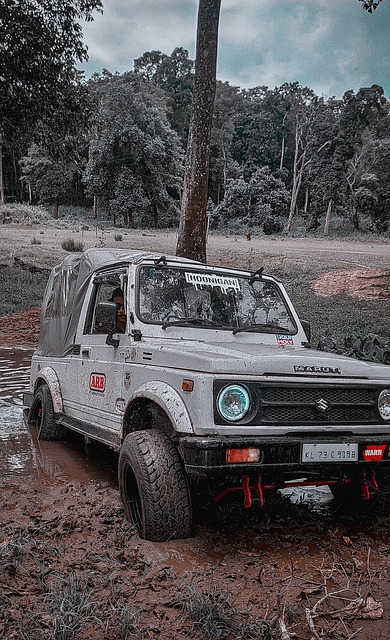 数均占据优 数均占据优