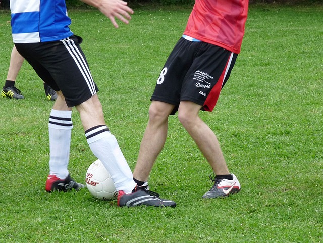 协作能力无 协作能力无