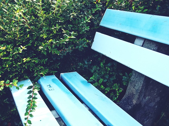 队的整体竞 队的整体竞